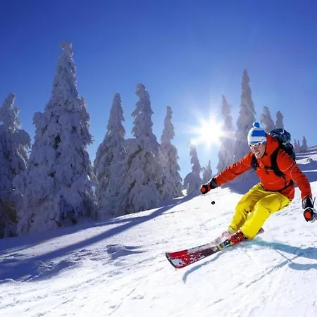 Casa de Férias Meadows Terraced Loučná pod Klínovcem