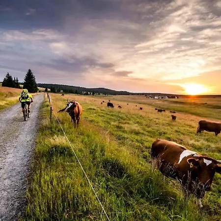 Prázdninový dům Meadows Terraced