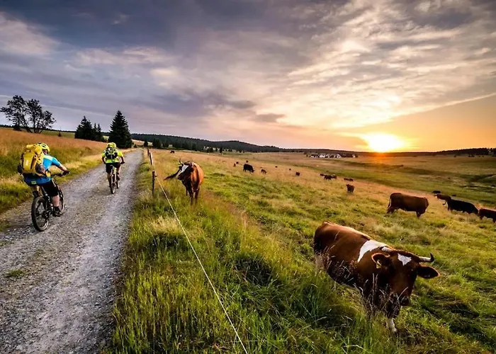 בית נופש Meadows Terraced